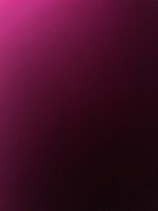 深圳一叶堂