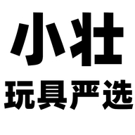 小壮玩具严选个体店