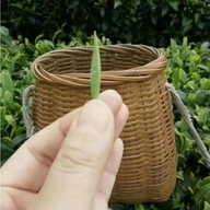 飘香茶叶个体店