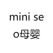 mini seo母婴精品