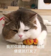 文元商贸企业店