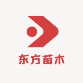 泰山东方苗木