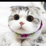 瑶望商行个体店