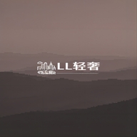 法国LL轻奢女包