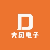 大风电子