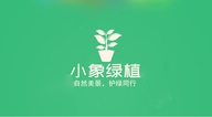 小象绿植花卉供应链