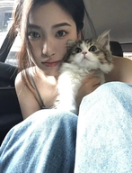 辞柠男鞋旗舰店