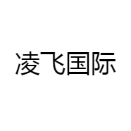凌飞国际
